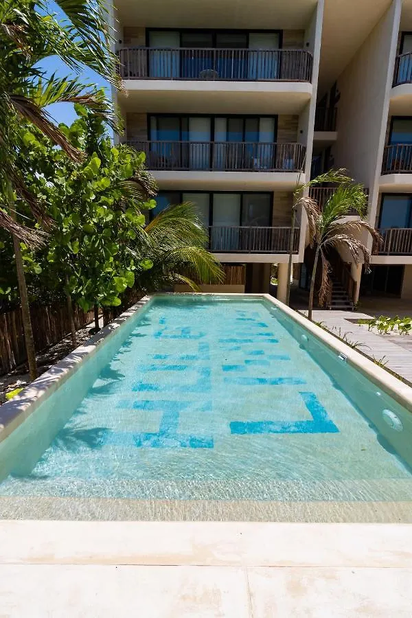 Hotel Ocean View Loft In Punta Cocos - D102 Isla Holbox