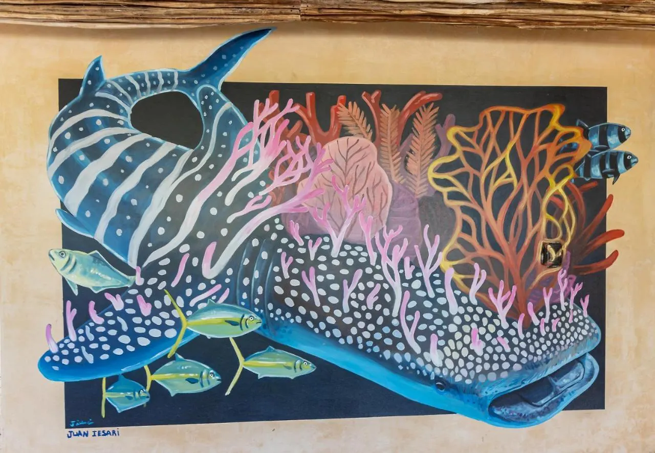 Hotel Ocean View Loft In Punta Cocos - D102 Isla Holbox