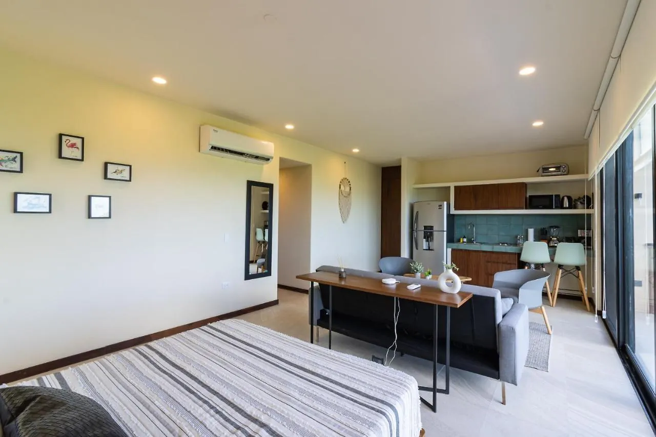 Hotel Ocean View Loft In Punta Cocos - D102 Isla Holbox México