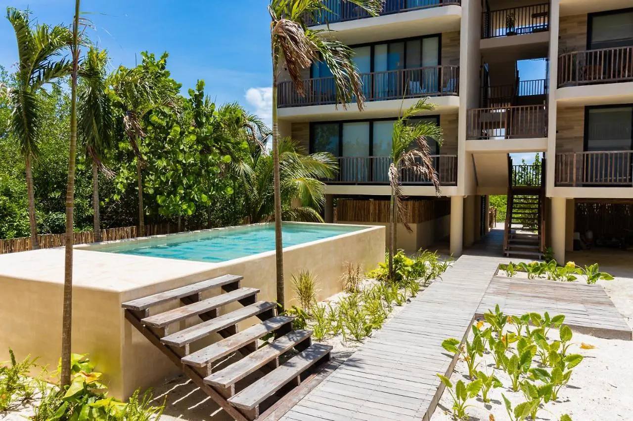 Hotel Ocean View Loft In Punta Cocos - D102 Isla Holbox